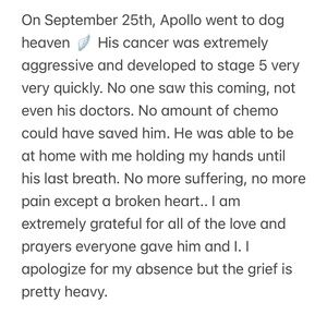 Apollo 🪽❤️‍🩹